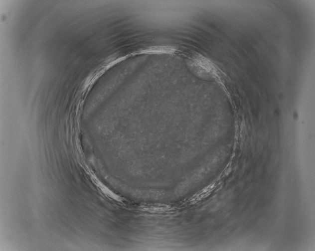 X0000081610337200702051400