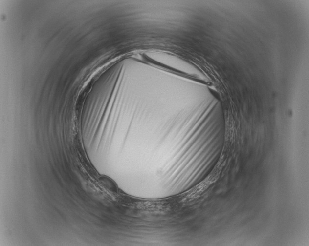 X0000081610338200702051400