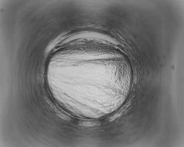 X0000081610341200702051400