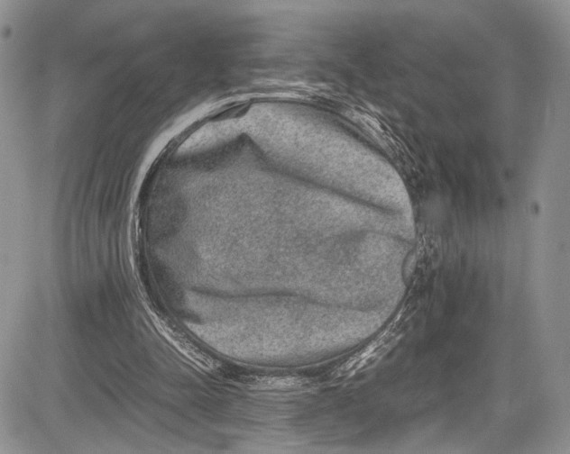 X0000081610342200702051400