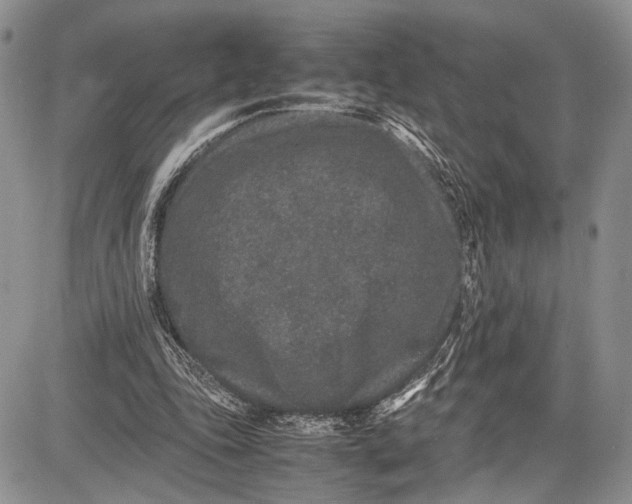 X0000081610343200702051400