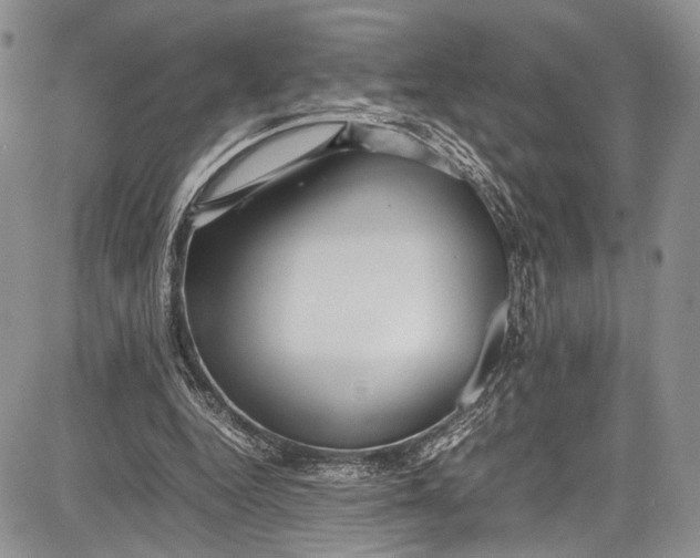 X0000081610344200702051400