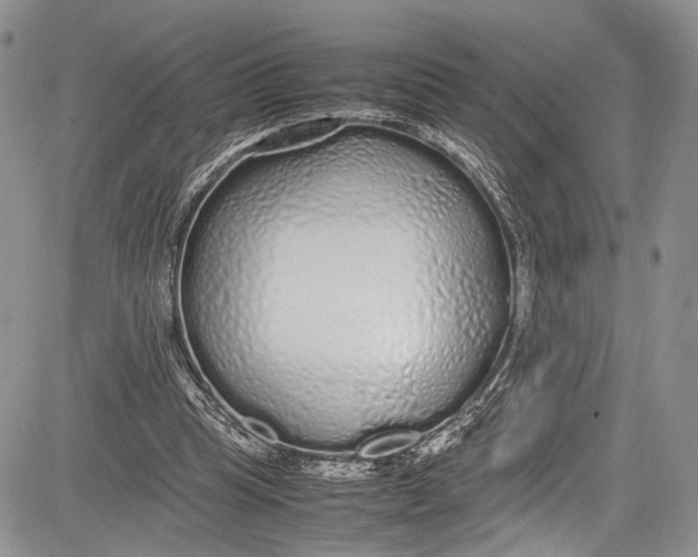 X0000081610345200702051400