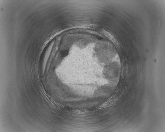 X0000081610346200702051400