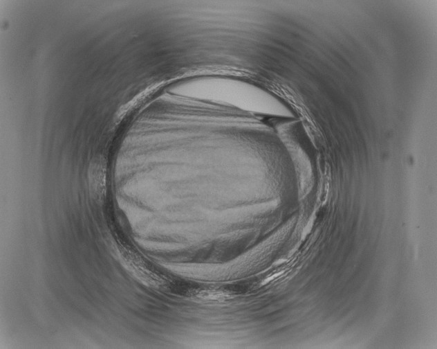 X0000081610348200702051400