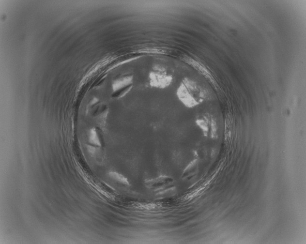 X0000081610349200702051400