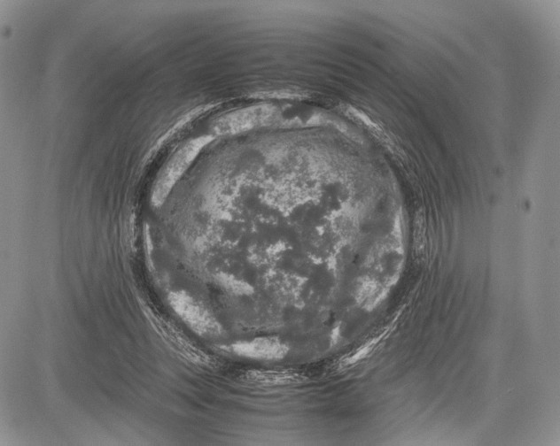 X0000081610351200702051400