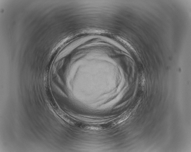 X0000081610352200702051400