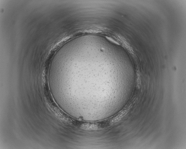 X0000081610354200702051400