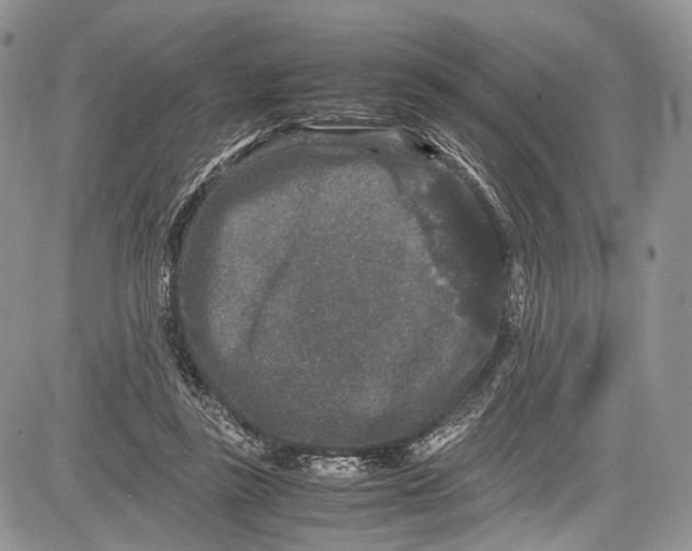 X0000081610355200702051400