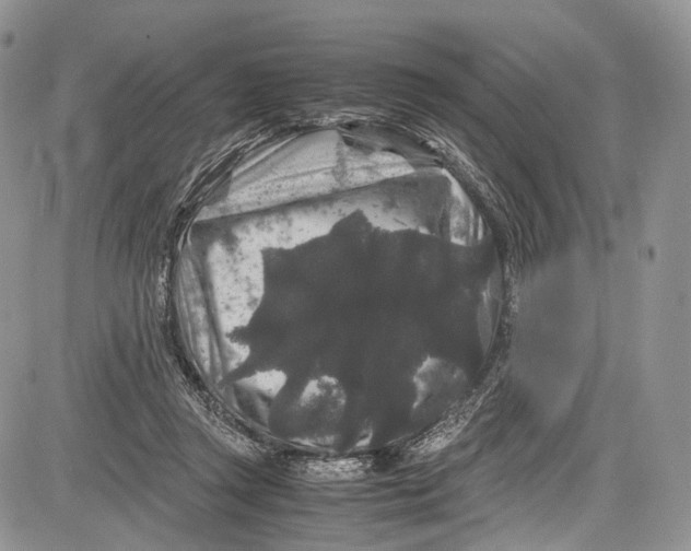 X0000081610357200702051400