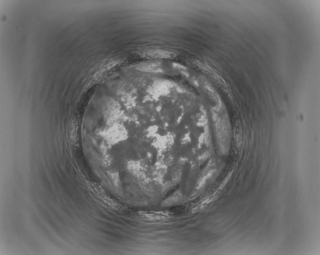 X0000081610359200702051400