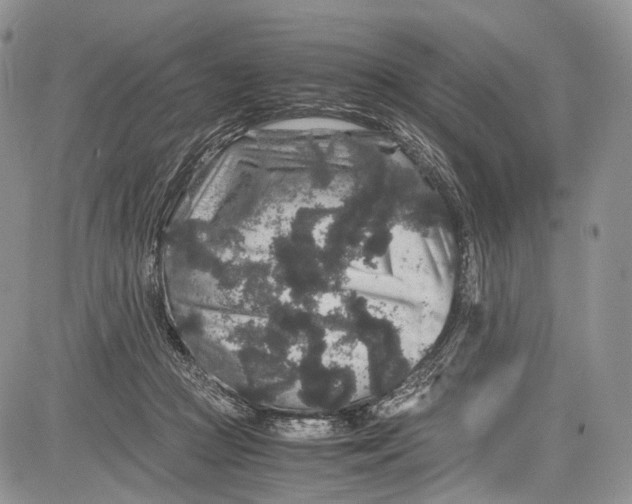 X0000081610361200702051400