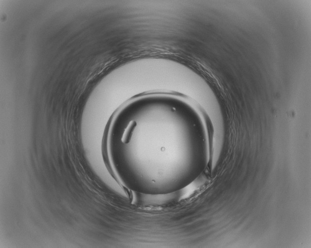 X0000081610362200702051400