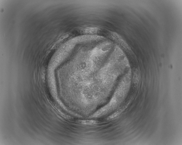 X0000081610363200702051400