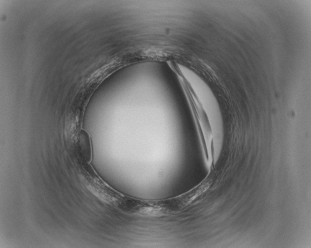 X0000081610364200702051400