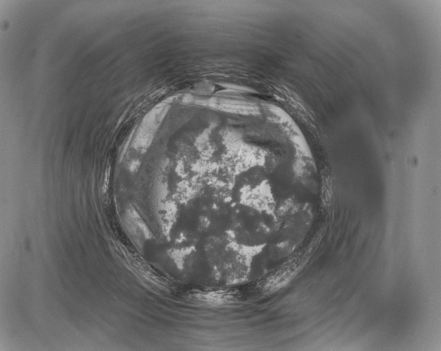 X0000081610365200702051400