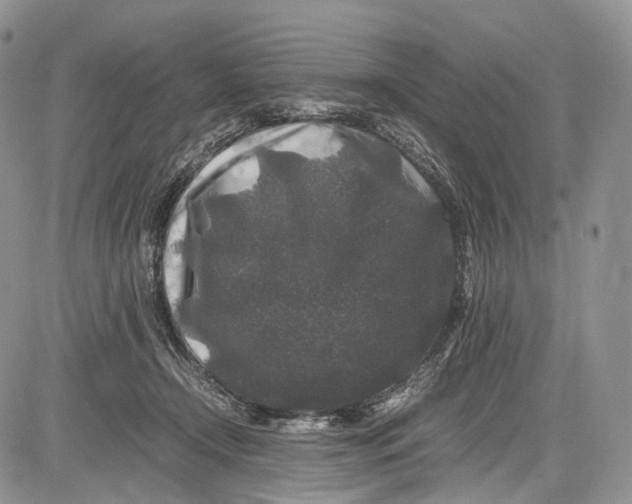 X0000081610366200702051400