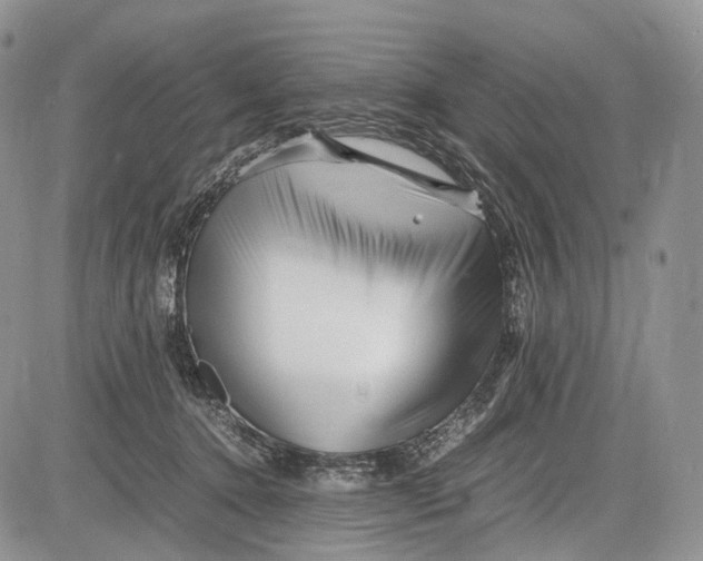 X0000081610368200702051400