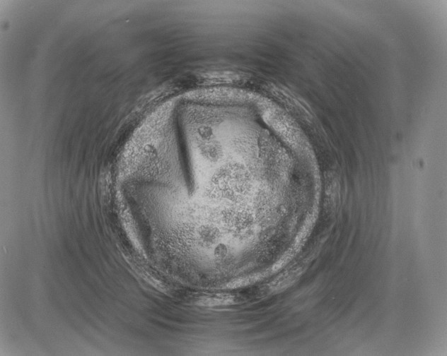 X0000081610369200702051400