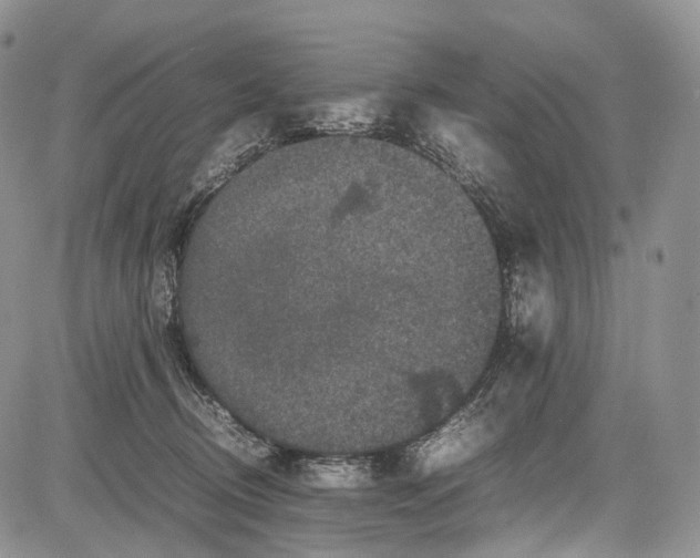 X0000081610370200702051400