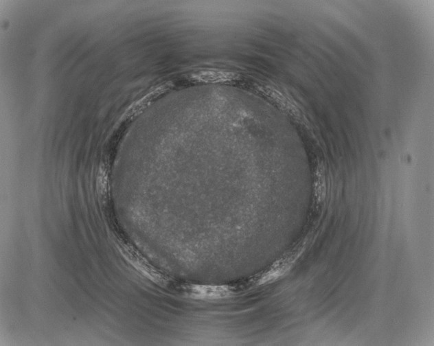 X0000081610371200702051400