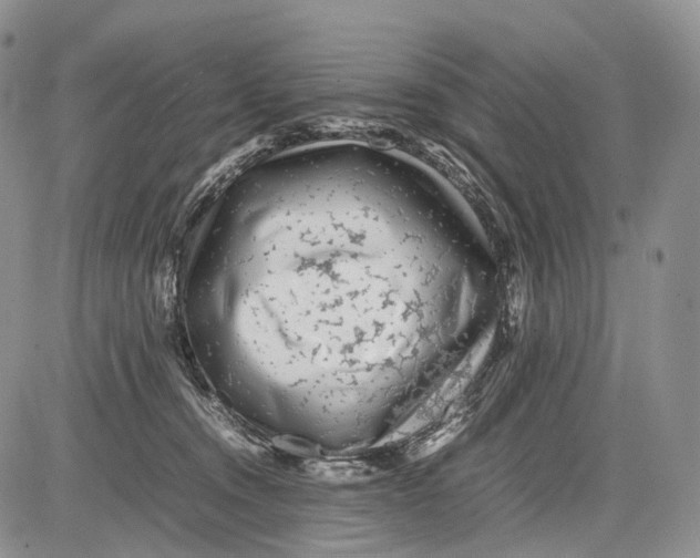 X0000081610372200702051400