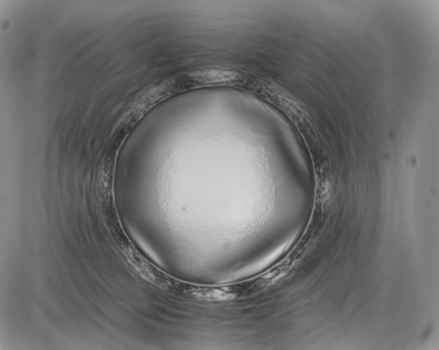 X0000081610373200702051400