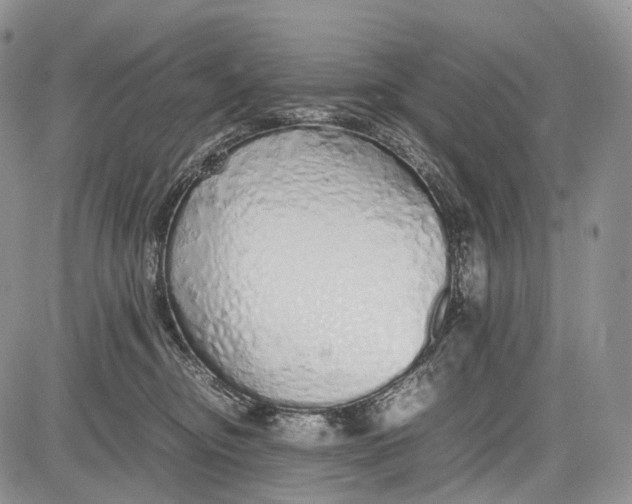 X0000081610374200702051400