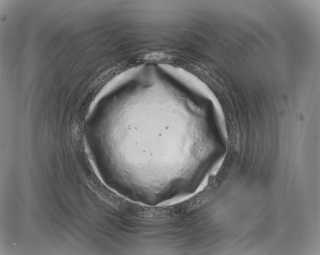 X0000081610375200702051400