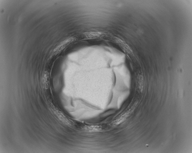 X0000081610378200702051400