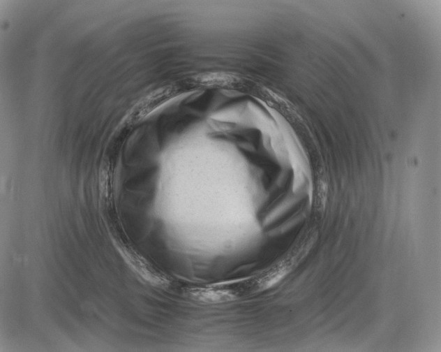 X0000081610379200702051400