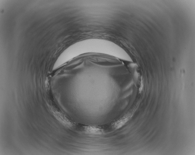 X0000081610380200702051400