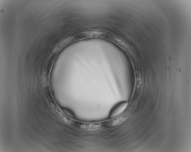 X0000081610381200702051400