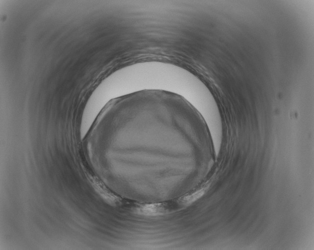 X0000081610382200702051400