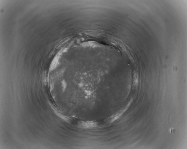 X0000081610383200702051400