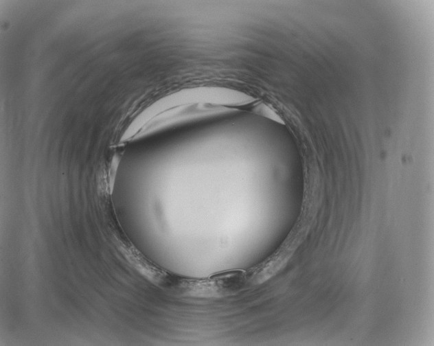 X0000081610384200702051400