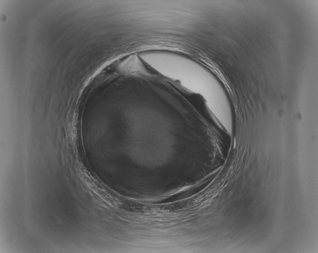 X0000081610387200702051359