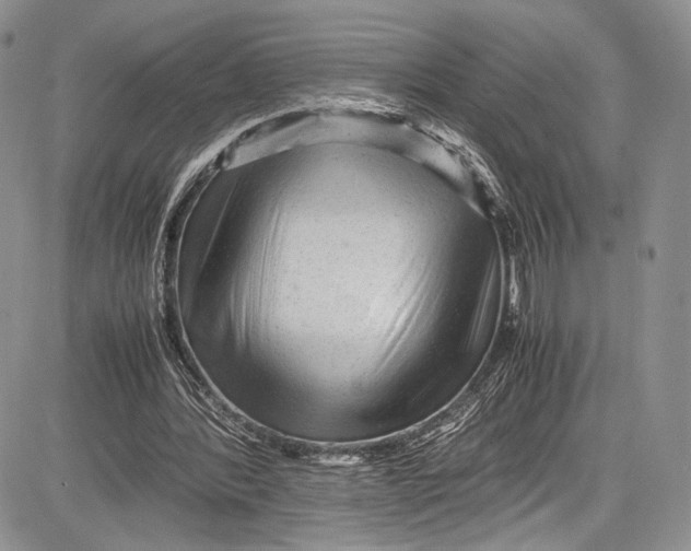 X0000081610388200702051359