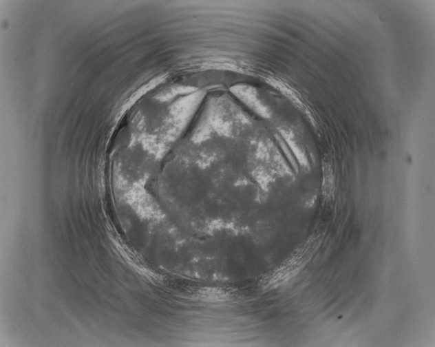 X0000081610390200702051359