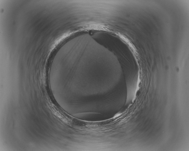 X0000081610391200702051359