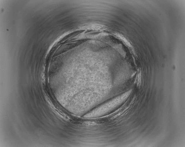 X0000081610392200702051359