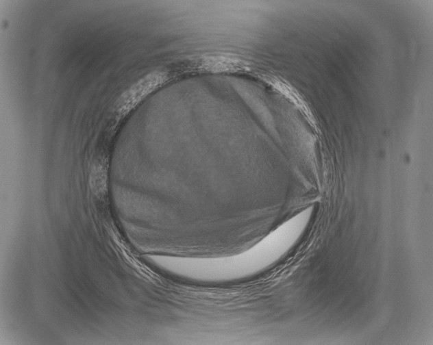 X0000081610393200702051359