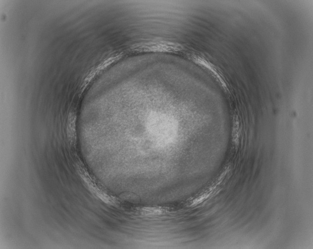 X0000081610394200702051359