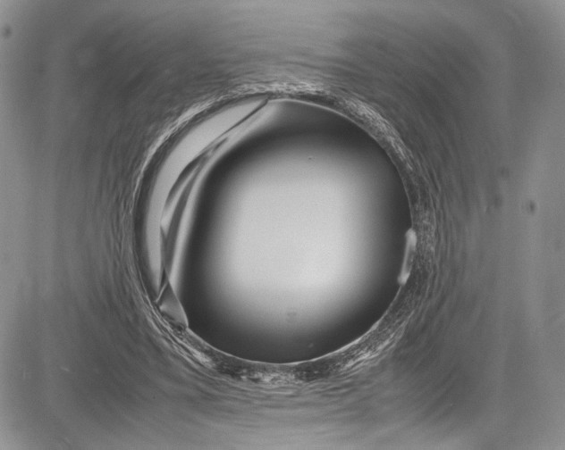 X0000081610395200702051359