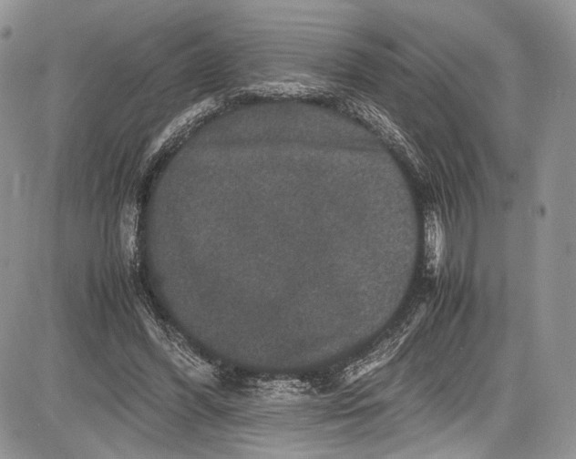 X0000081610396200702051359