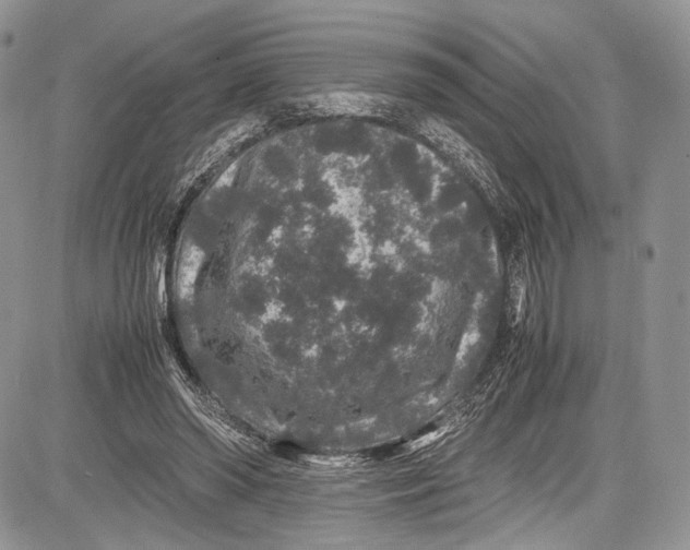 X0000081610398200702051359