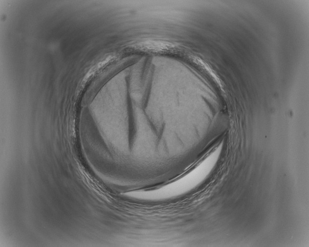 X0000081610399200702051359