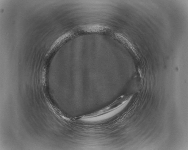 X0000081610400200702051359