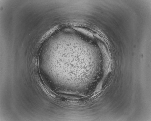 X0000081610401200702051359